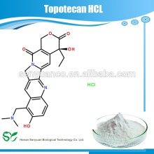 Alta qualidade Topotecan HCl 119413-54-6 O preço o mais baixo BULK STOCK !!!!!!